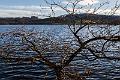 2019_03_16_Lac de Panneciere (0026)